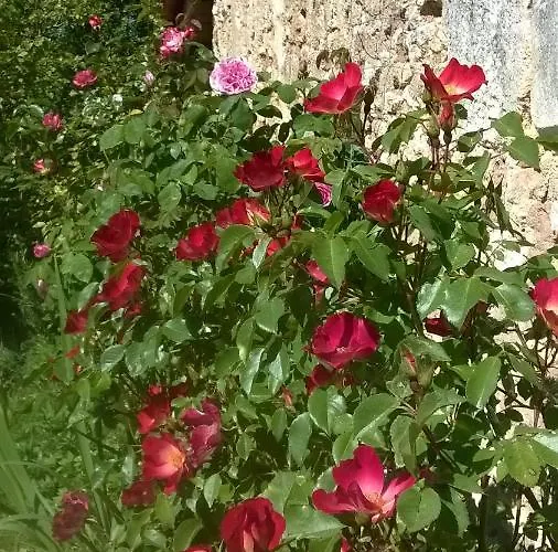 Lembaudie 3* Saint-Privat-des-Prés